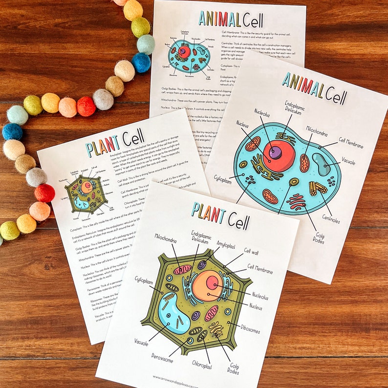 May include: A set of four printable educational charts for kids, illustrating the parts of a plant cell and an animal cell. The charts feature colorful illustrations and labels for each cell part, including the nucleus, cytoplasm, cell membrane, and vacuole.