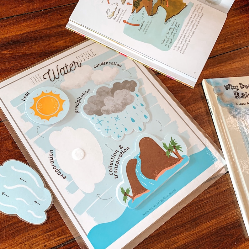 K&ouml;nnte beinhalten: Ein farbenfrohes Lernspiel, das den Wasserkreislauf mit Illustrationen von Sonne, Wolken, Regen, Schnee, einem Berg und einem Fluss darstellt. Das Poster enth&auml;lt die W&ouml;rter "W&auml;rme", "Kondensation", "Niederschlag", "Verdunstung", "Sammlung & Transpiration".