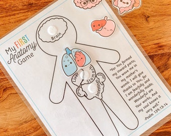 Anatomy Game, Printable Human Body Preschool Activity, About Me Kids Science Lesson, Kindergarten Curriculum, Busy Binder Game, Homeschool