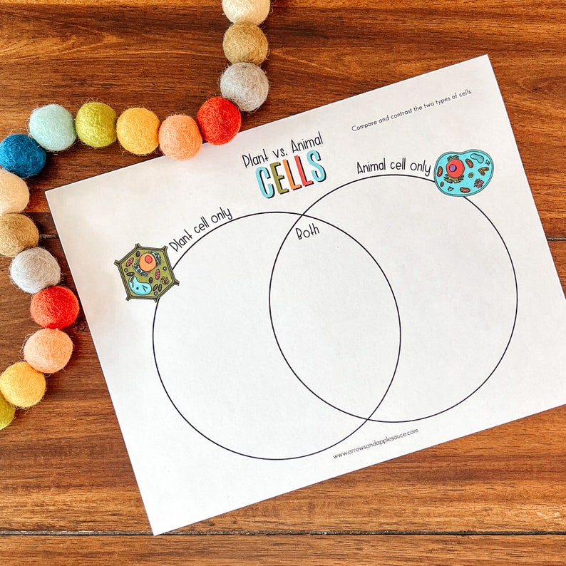 Cell Structure Diagram Printable Bundle, Plant Cell, Animal Cell, Biology Lesson, Kids Homeschool Activity, Earth Science, Coloring Page image 3