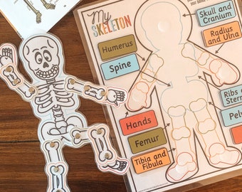 Skeleton Anatomy Activity, Printable Human Bones Lesson, Moving Skeleton Craft, Kids Anatomy Game, Homeschool Printable, Human Science Study