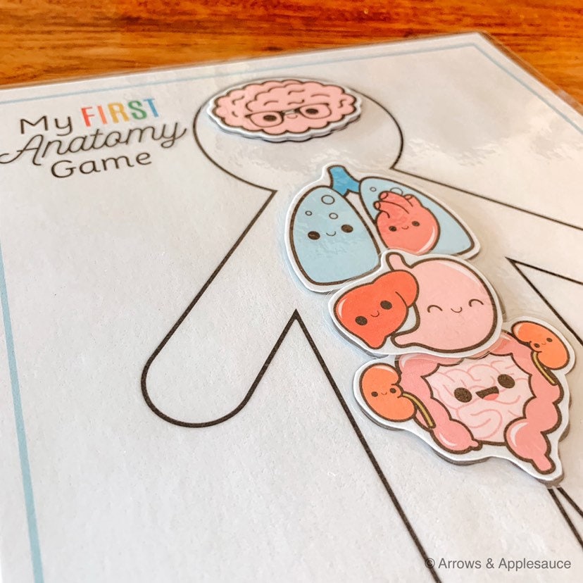 Anatomy Game Printable Human Body Preschool Activity About - Etsy Australia