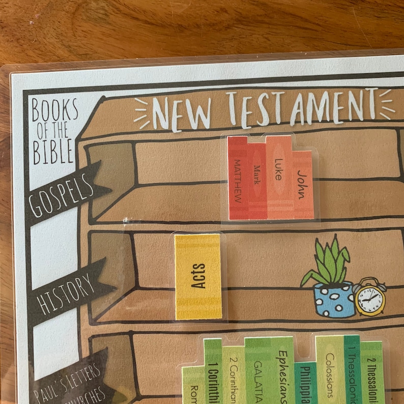 May include: A visual representation of the New Testament books of the Bible, organised by category. The books are displayed on a bookshelf with labels for Gospels, History, and Paul's Letters. The books are colour-coded and include titles like Matthew, Mark, Luke, John, Acts, Galatians, Ephesians, Philippians, Colossians, 1 Thessalonians, and 2 Thessalonians.