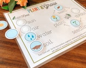 Plant Life Cycle Printable Activity, Kids Science Game, Nature Study, Botany Lesson, Preschool Kindergarten Curriculum, Homeschool Activity