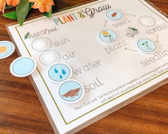 May include: A white laminated learning chart with the words "Plants Need Plant & Grow" in colorful letters. The chart shows a diagram of the life cycle of a plant, with images of a seed, sprout, seedling, and plant. The chart also lists the things plants need to grow, including sun, air, water, and soil.