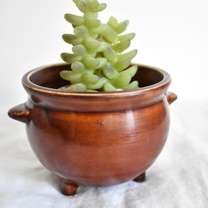 Pode incluir: Uma pequena planta suculenta em um vaso de cerâmica marrom com três pernas. O vaso tem uma borda larga e um corpo arredondado.