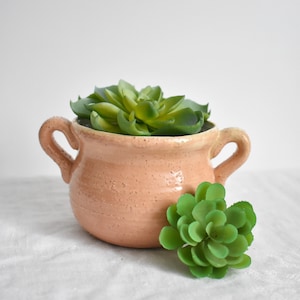 May include: A small, light pink ceramic pot with two handles, featuring a green succulent plant inside. The pot is sitting on a white fabric surface.