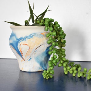 May include: A blue and white marbled ceramic planter with a green succulent plant hanging over the edge. The planter is sitting on a blue surface.