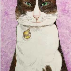 A4 Custom Animal Pet portrait coloured pencil Illustration image 3