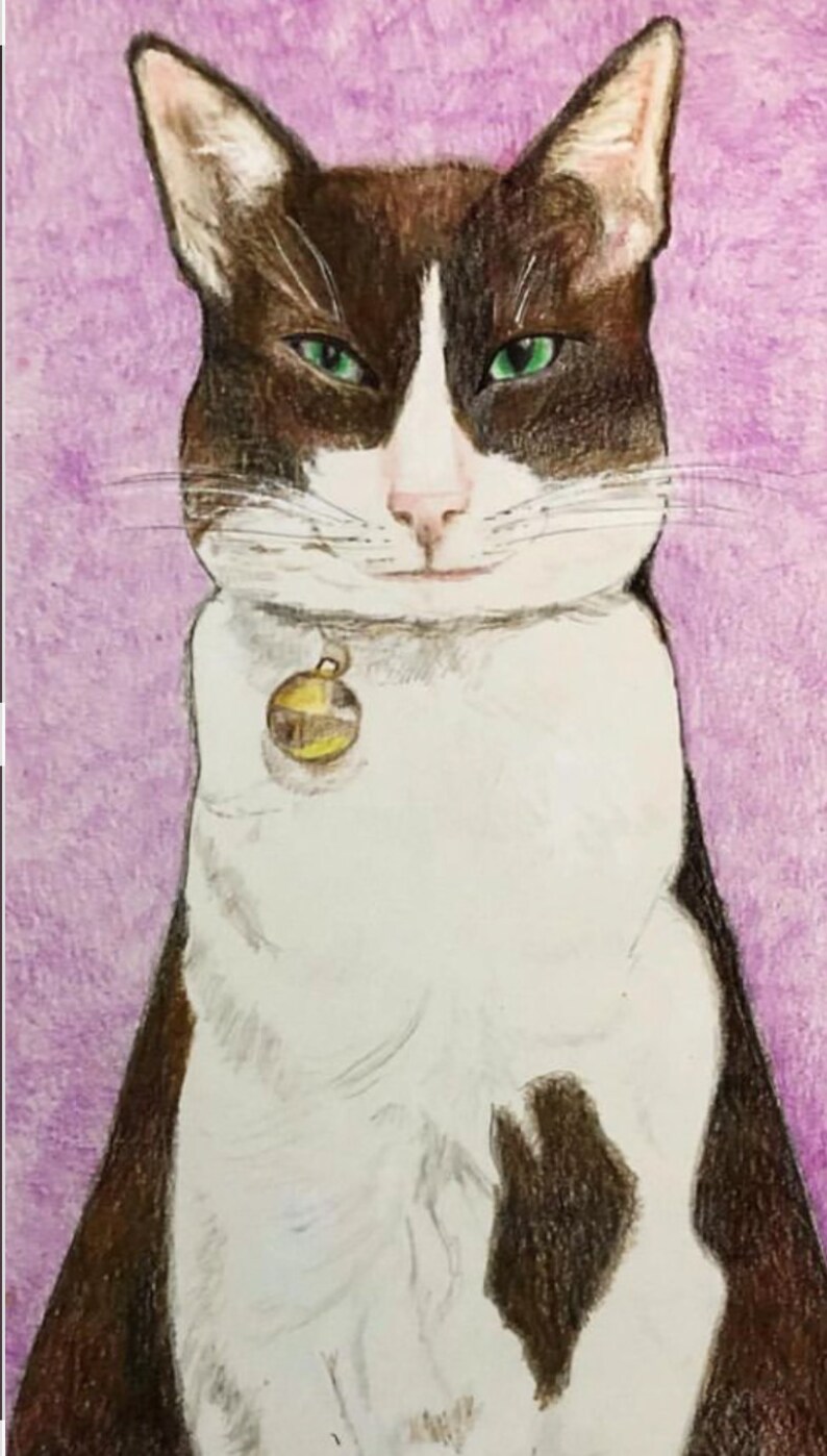 A4 Custom Animal Pet portrait coloured pencil Illustration image 3