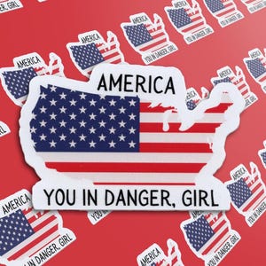 May include: A white sticker with an outline of the United States of America. The American flag is inside the outline. The text "America" is above the flag and "You in danger, girl" is below the flag.