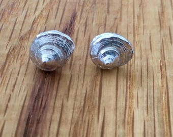 Silver Shell stud earrings, bridesmaid gift, bride gift, wedding jewellery, his and hers, silver, shell, studs, Dorset, seashell, earrings