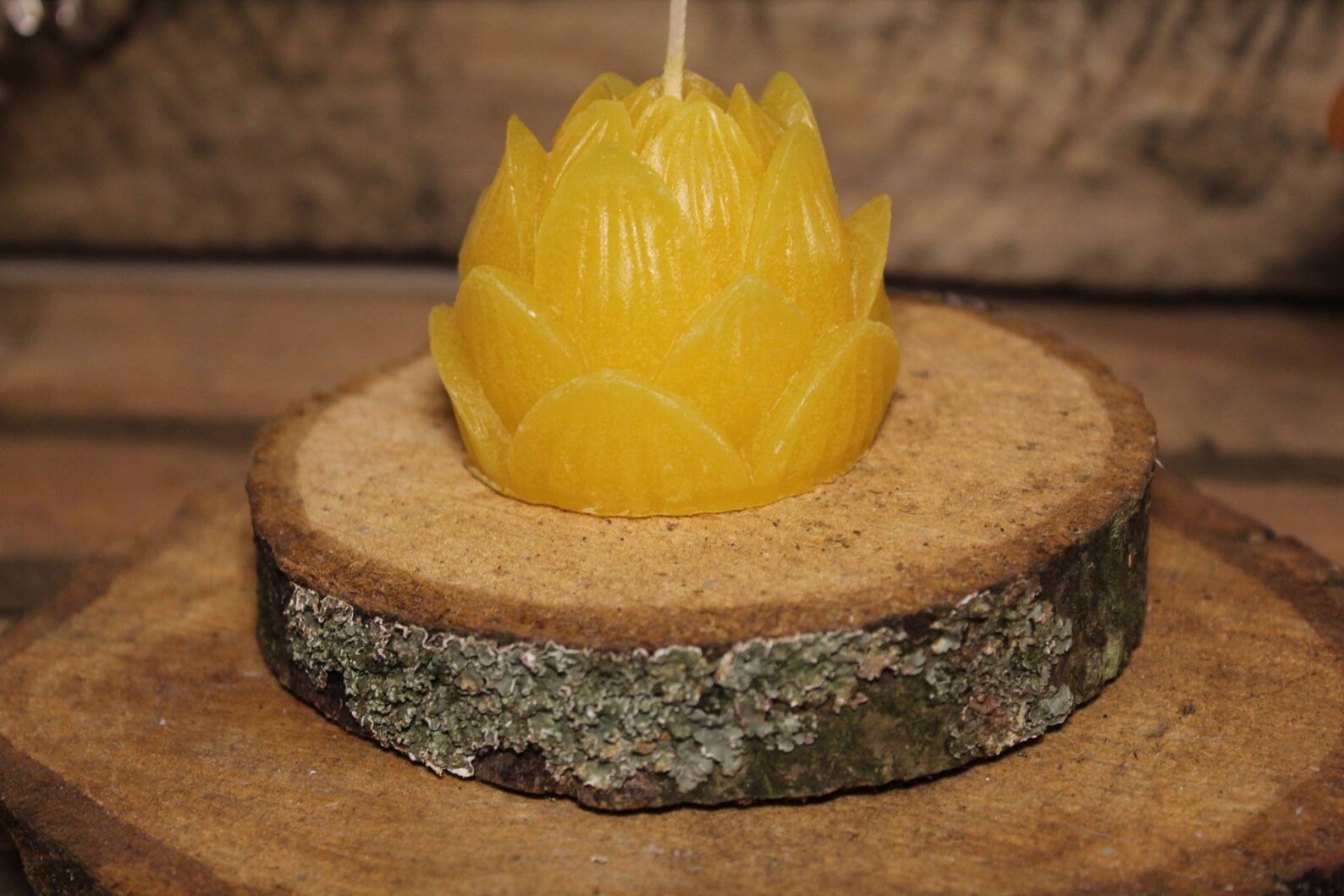 Scented Lotus Candle. Vanilla Candle. Vanilla Lotus Candle Etsy