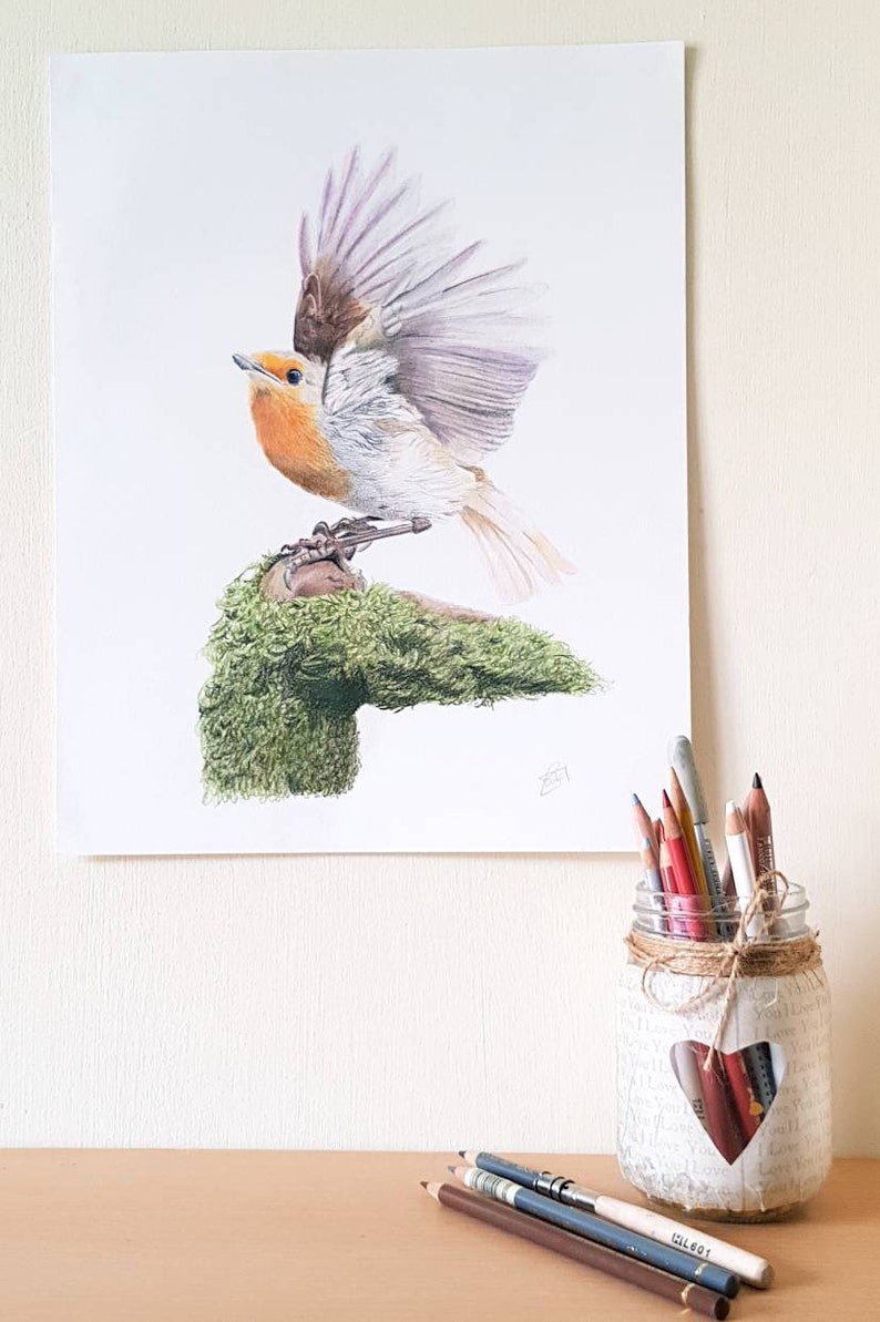 Robin Picture Minimalist Fine art Illustration of a Robin in flight with 12 inch by 16 inch mount