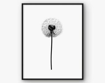 Dandelion Print, Dandelion Wall Art, Black and White Dandelion Poster, Floral Print, Floral Wall Art, Floral Printable, Dandelion Decor,