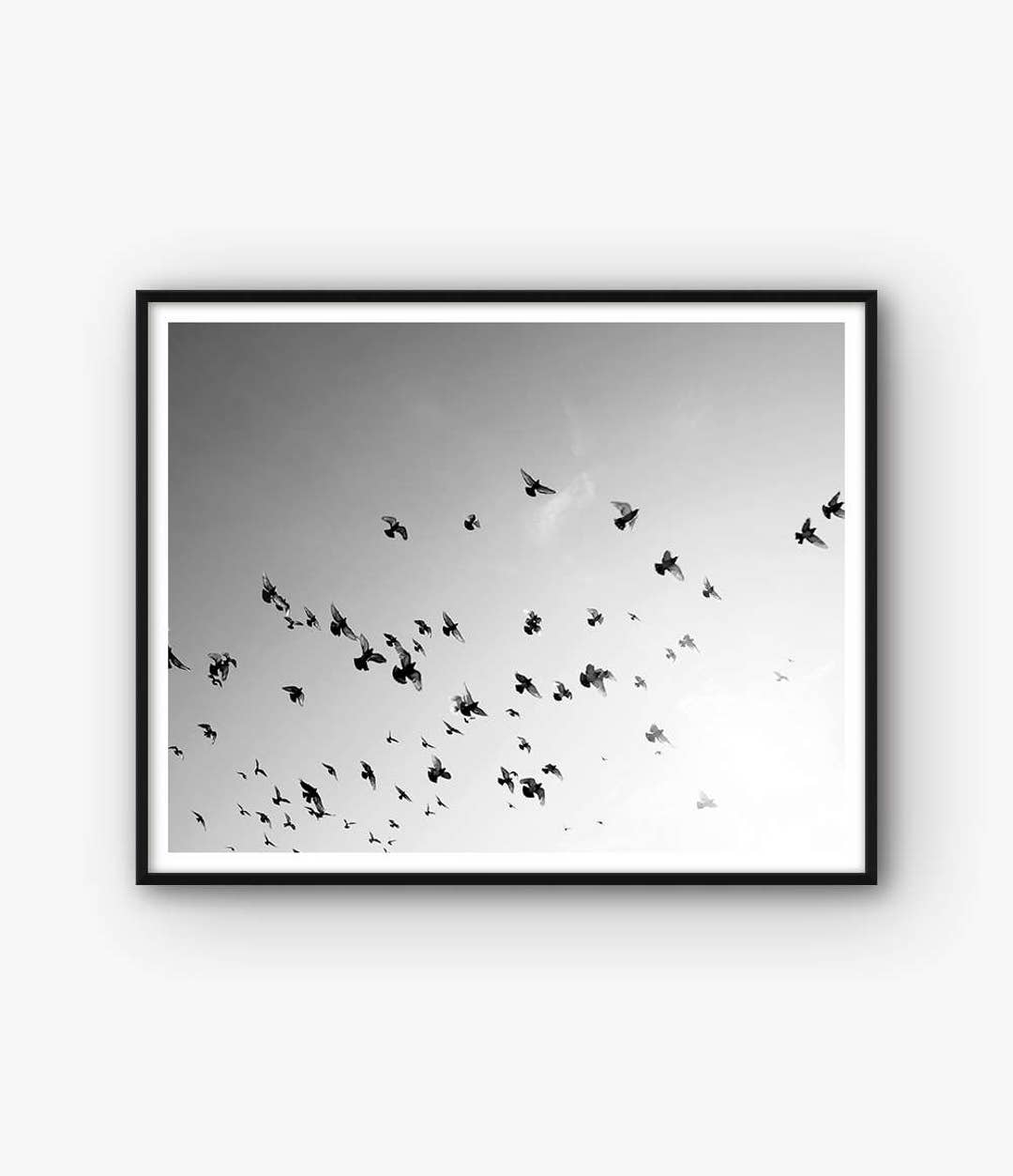 Birds Print, Birds Decor, Birds Photography, Bird Print, Birds Photo ...