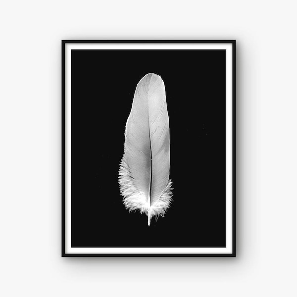 Feather Print, Feather Poster, Feather Wall Art, Feather Photo, Black and White Scandinavian Print, Nordic Print, Contemporary Print