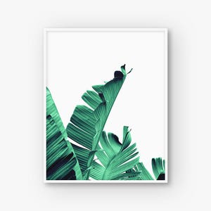 Scandinavian Print Banana Tree Print Printable Banana Leaf - Etsy