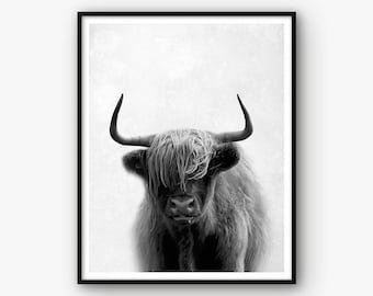 Buffalo Print, Bison Print, Nursery Print, Highland Cow Print, Animal Print, Nursery Poster, Buffalo Poster, Bison Wall Art, Animal Poster
