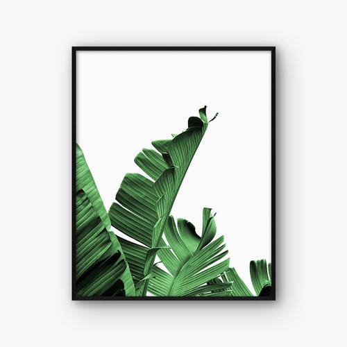 Monstera Leaves Print Tropical Palm Green Leaf Monstera Wall - Etsy