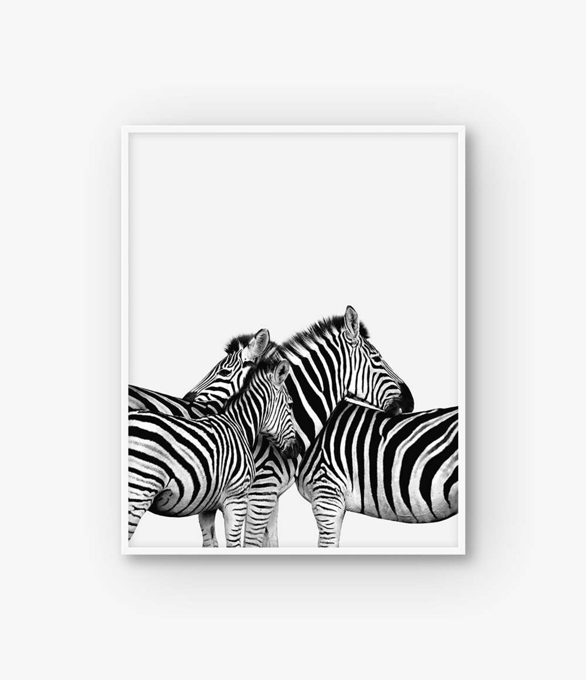Zebra Print Nursery Print African Animal Print Zebra Wall Etsy