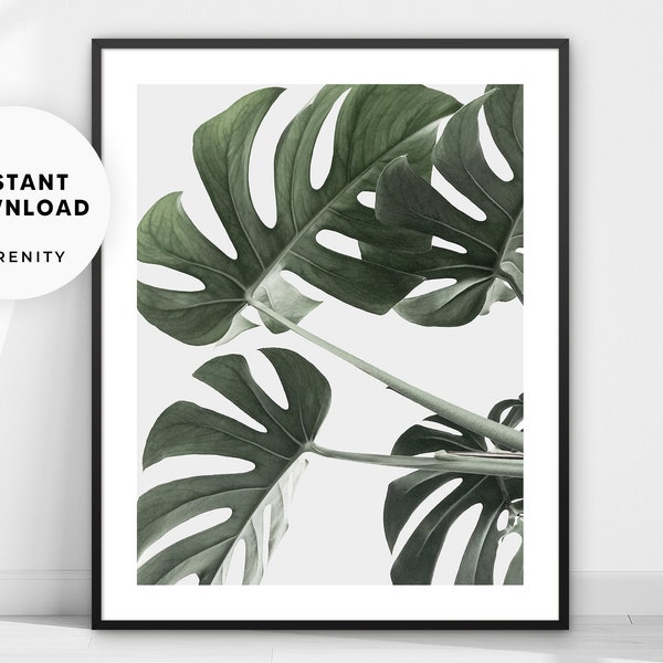 Monstera Leaves Printable Poster, Botanical Photography Print, Tropical Palm Leaf Wall Art, Green Plant Photo Digital Download