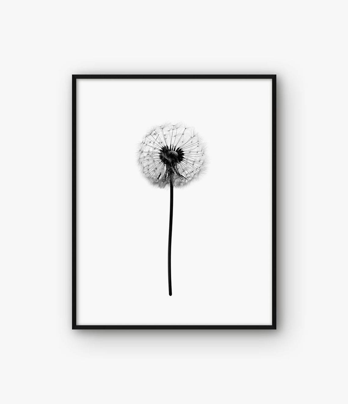 Dandelion Print Dandelion Wall Art Black and White Dandelion | Etsy