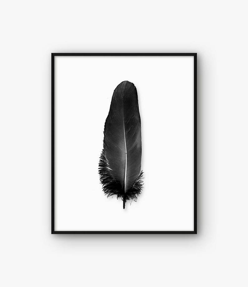 Black Feather Print, Black and White Feather Wall Art, Abstract Print