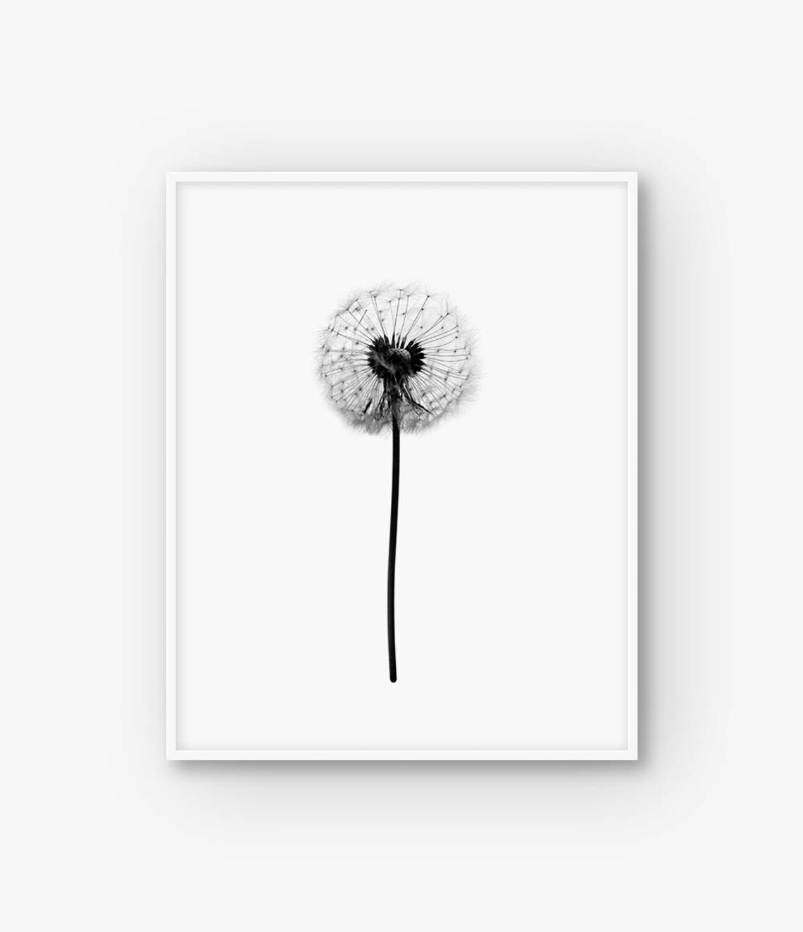 Dandelion Print Dandelion Wall Art Black and White Dandelion Etsy