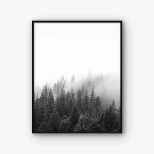 Forest Photography, Black and White Forest Print, Nature Wall Art, Treetops Print, Contemporary Art, Nature Photography, Scandinavian Art