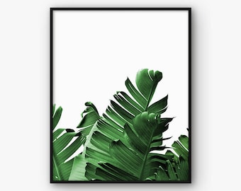 Palm Leaf Print, Palm Print, Banana Leaf Print, Tropical Print, Botanical Print, Palm Poster, Nature Print, Green Leaf Print, Greenery Print