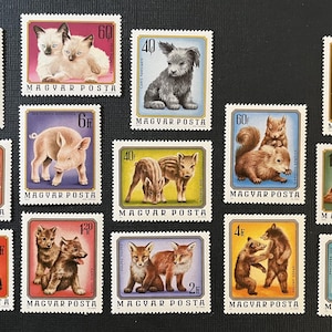 H066 - 14 Different Mint, unused Baby Animal Stamps from Hungary | Arts & Crafts, Scrapbooking, Junk Journal, collages | Stamp collecting