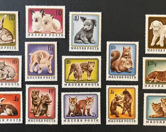 H066 - Hungarian Baby Animal Stamps: 14 Mint Unused Stamps for Collectors