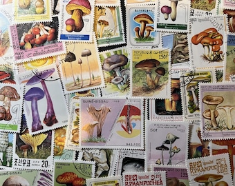 N009 - 50 Different Mushroom Stamps | Worldwide Stamps | Scrapbooking, Junk Journal, collages | Stamp collecting
