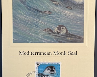N136 - WWF Mediterranean Monk Seal Stamp Cards Complete Set of 4 | Mauritania 1986 | Official Proof Edition | Wildlife Stamps