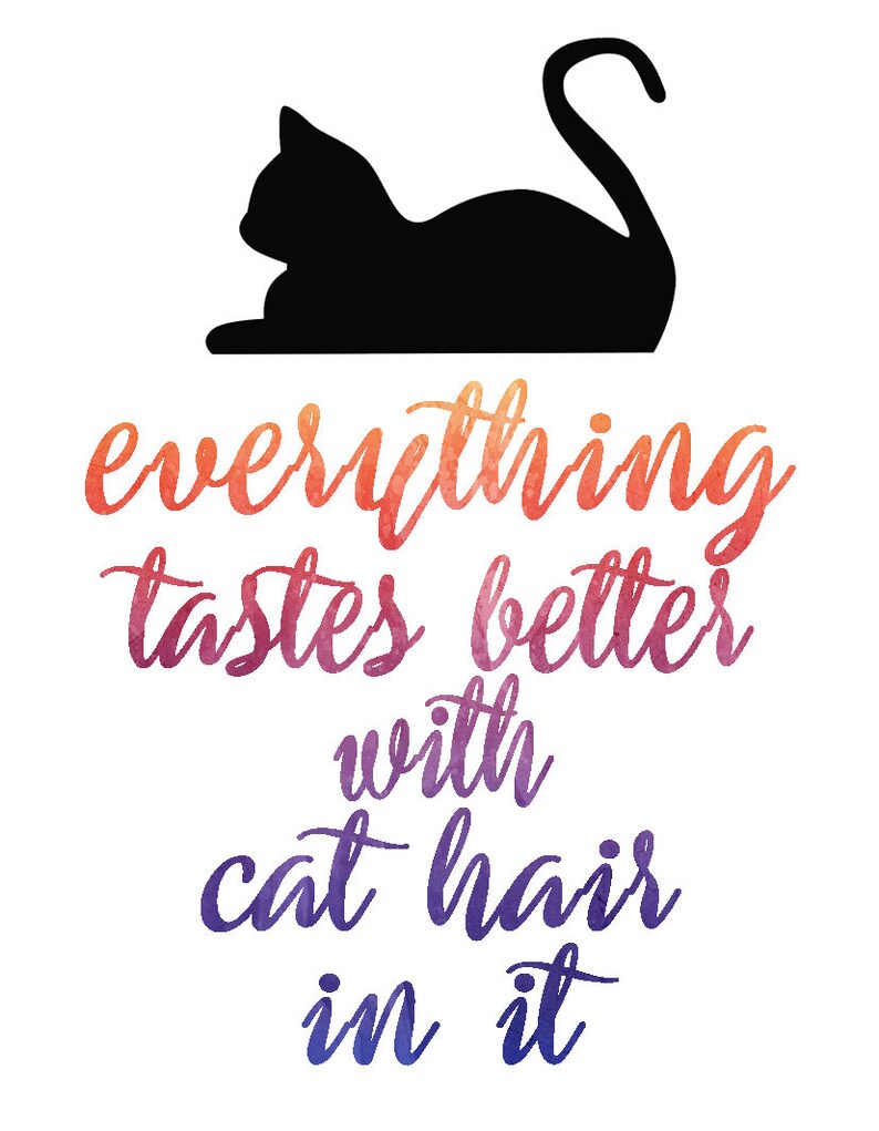 Everything Tastes Better With Cat Hair in It Funny Cat Gift Etsy UK