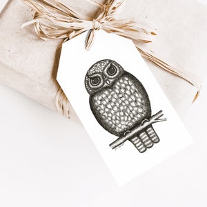 Étiquettes cadeaux imprimables, téléchargement instantané, téléchargement numérique, stylo et encre hibou, noir et blanc