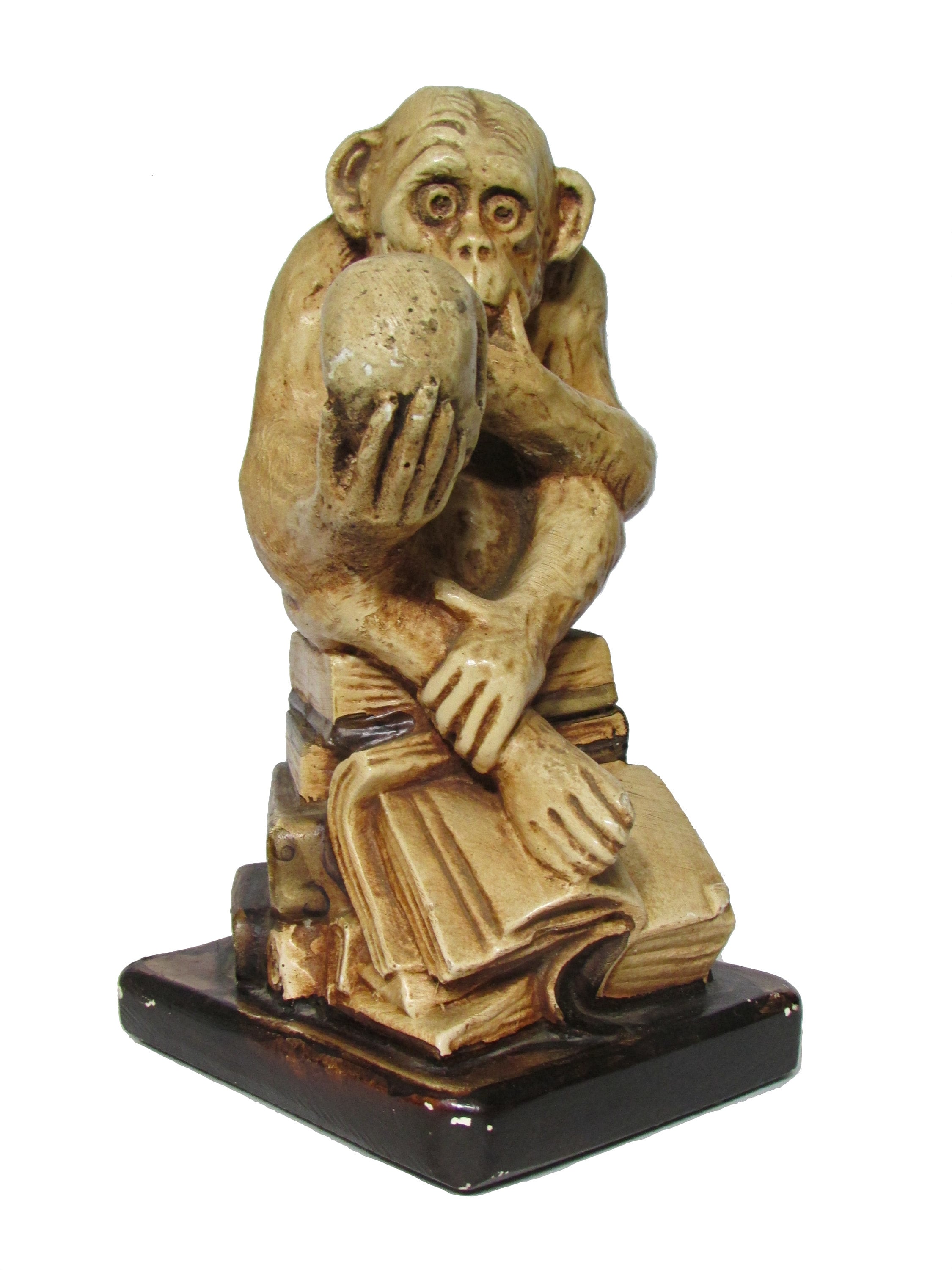 Darwin monkey skull - Etsy 日本