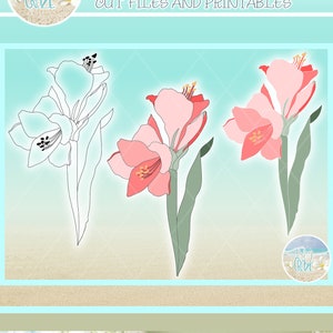 Amaryllis Flower SVG Files for Cricut Silhouette - Dxf Eps Pdf Png Included