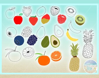Fruit Outlines And Colors Bundle SVG Files for Cricut Silhouette - Dxf Eps Pdf Png Included Avocado Apple Kiwi