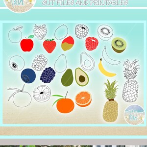 Obst Konturen und Farben Bundle SVG-Dateien für Cricut Silhouette - Dxf Eps Pdf Png enthalten Avocado Apfel Kiwi