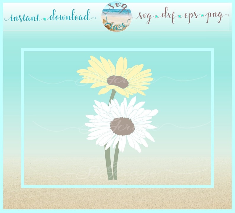 Download Daisy Flower SVG Eps PNG files for Cricut Silhouette ...