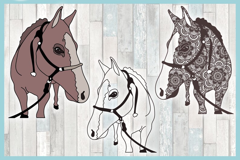 Download Horse Mandala SVG Files for Cricut Silhouette Dxf Eps Pdf ...