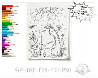 Hedgehog and Wildflowers Printable Coloring Page, Coloring Book for Kids, 300dpi PNG, PNG Printable, Coloring Page Printable, Coloring Book