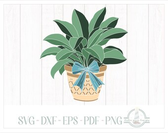 Houseplant SVG Files for Cricut Silhouette - Dxf Eps Pdf Png Included