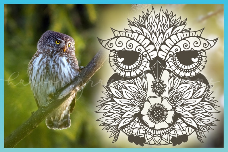 Free Free 279 Owl Mandala Svg Free SVG PNG EPS DXF File