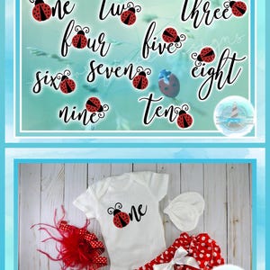 May include: A digital design set featuring the words one through ten in black script, each paired with a red and black ladybug graphic. Below, a white short-sleeve bodysuit with a ladybug graphic, red and white polka dot bloomers, and a red feather accessory.