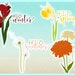 Hello Winter Spring Summer Fall Seasons SVG Files for Cricut Silhouette ...
