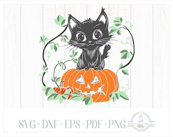 Gato negro lindo de Halloween en Jack O Lantern SVG, archivos SVG para Cricut y Silhouette