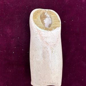 May include: A light-colored, cylindrical object with a rounded base and a hollowed-out top. The top interior reveals a light brown material. The object has a textured, off-white exterior, and sits against a dark red background.